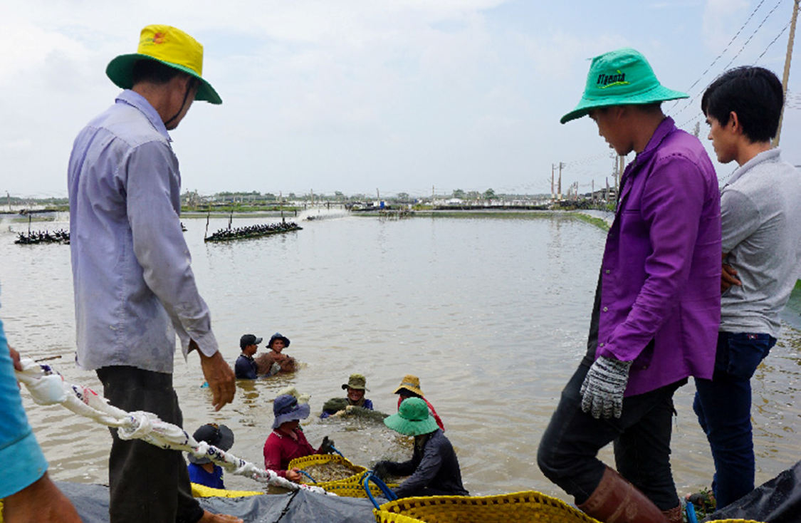 Sóng gió và đợi chờ