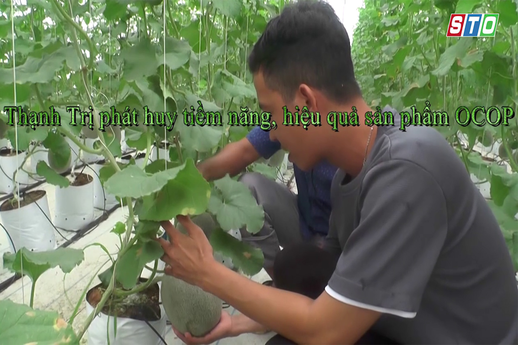 [Media] Thạnh Trị phát huy tiềm năng, hiệu quả sản phẩm OCOP