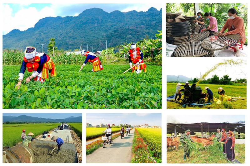 Tháo gỡ khó khăn trong triển khai 3 chương trình mục tiêu quốc gia