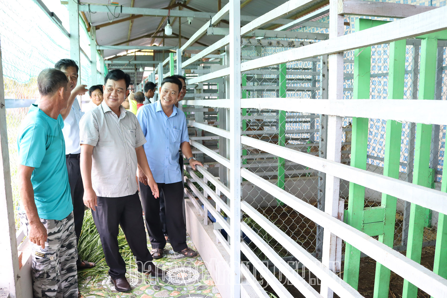 Khảo sát mô hình nuôi hươu sao tại huyện Mỹ Tú