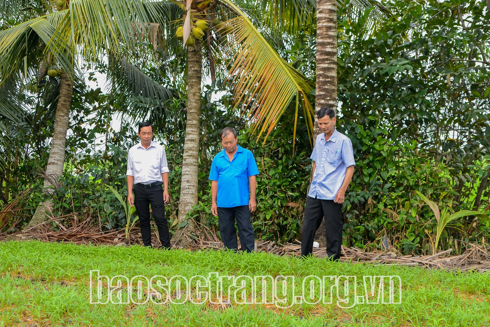 Phát huy phẩm chất Bộ đội Cụ Hồ