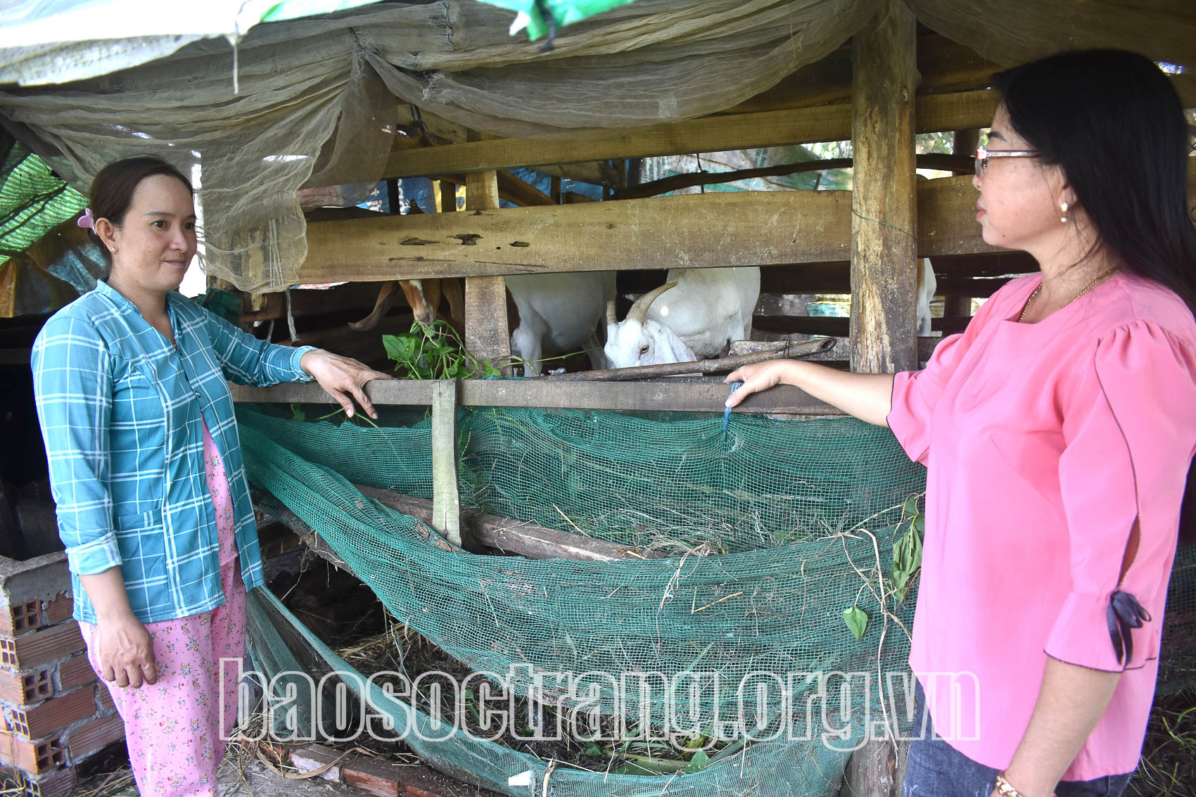 Điểm sáng mô hình “Tổ phụ nữ gia đình hạnh phúc, nuôi con khỏe, dạy con ngoan”