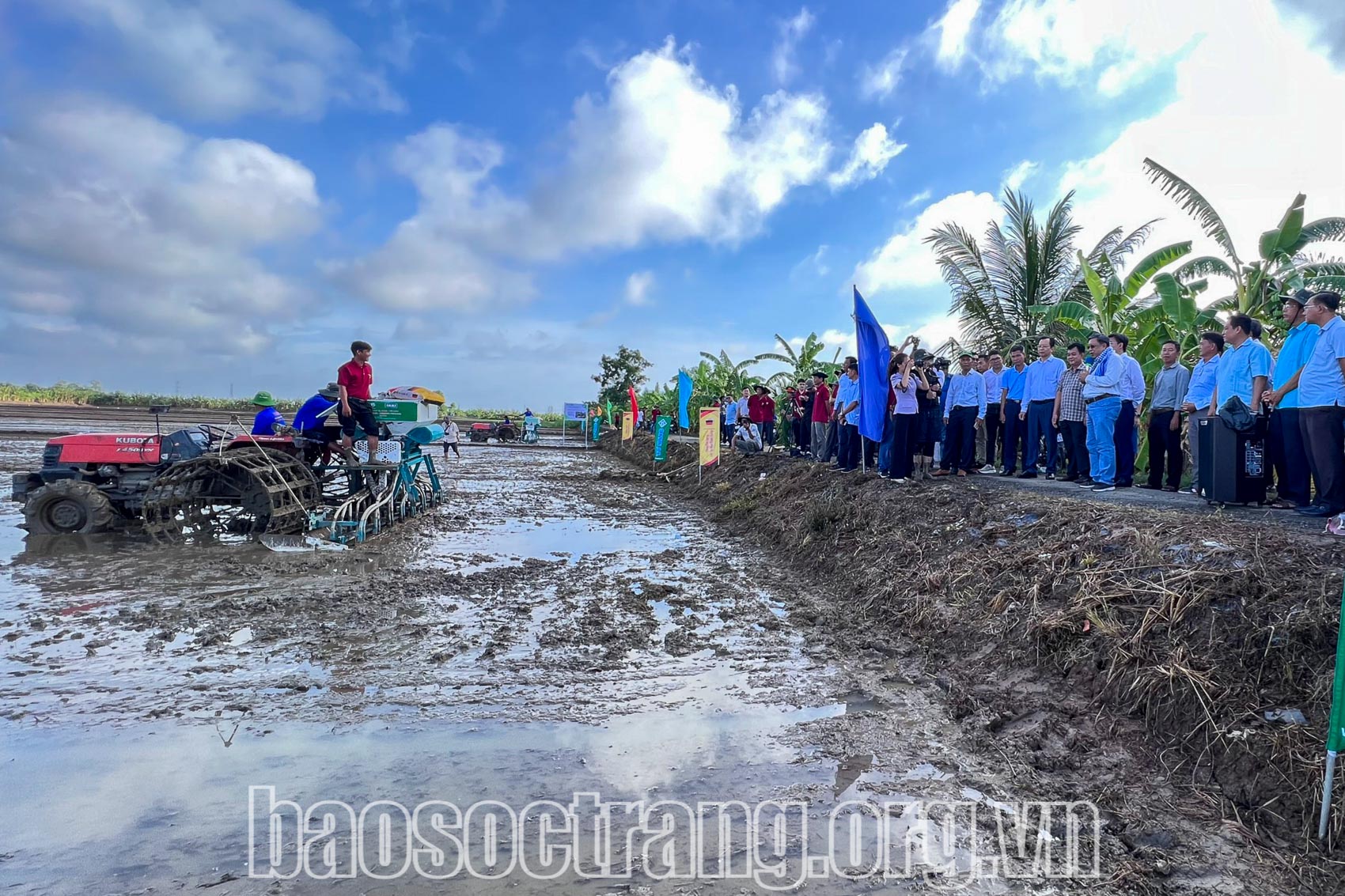 Sóc Trăng thực hiện Đề án Phát triển 1 triệu hécta lúa chất lượng cao