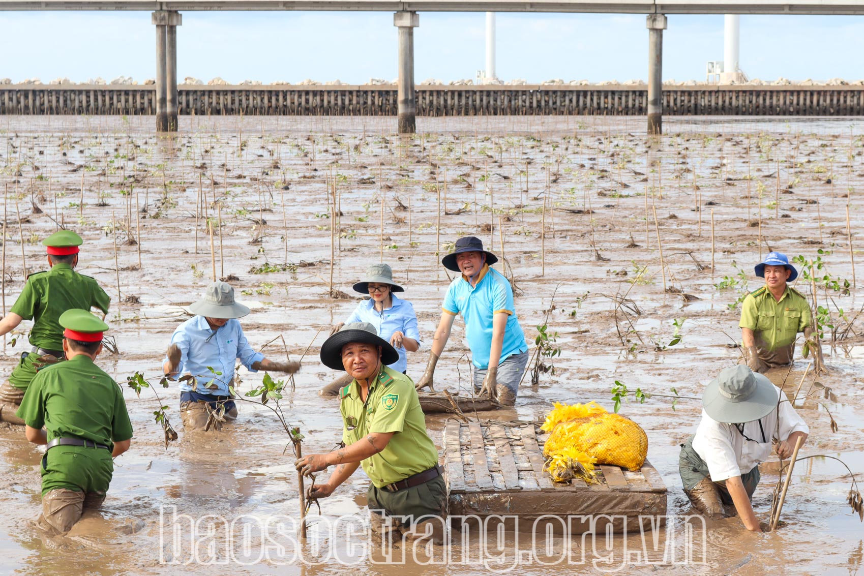 Trồng rừng hưởng ứng “Ngày Môi trường thế giới 5/6” và Đề án “Trồng 1 tỷ cây xanh giai đoạn 2021 - 2025”