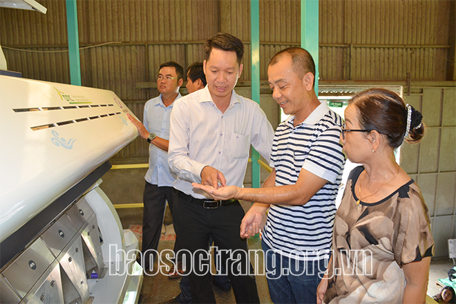 Hỗ trợ máy tách màu gạo cho doanh nghiệp xay xát lúa