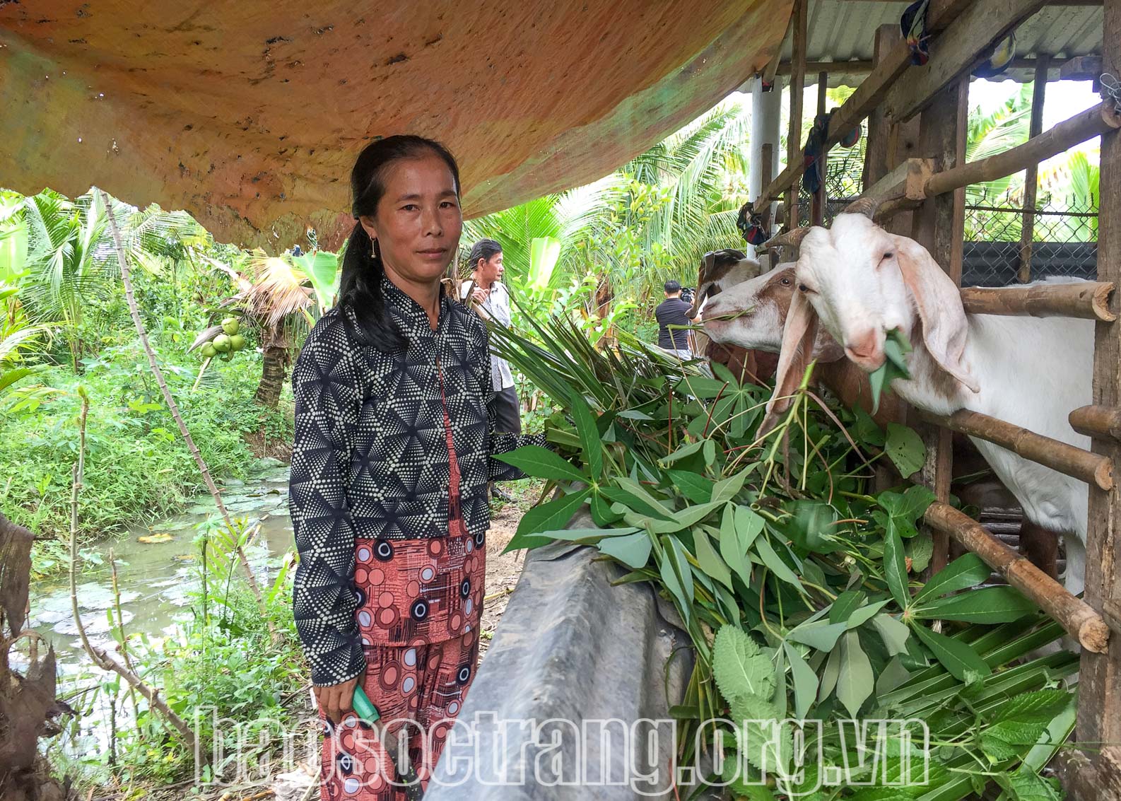 Tập trung nhiều nguồn lực giảm nghèo cho hội viên phụ nữ