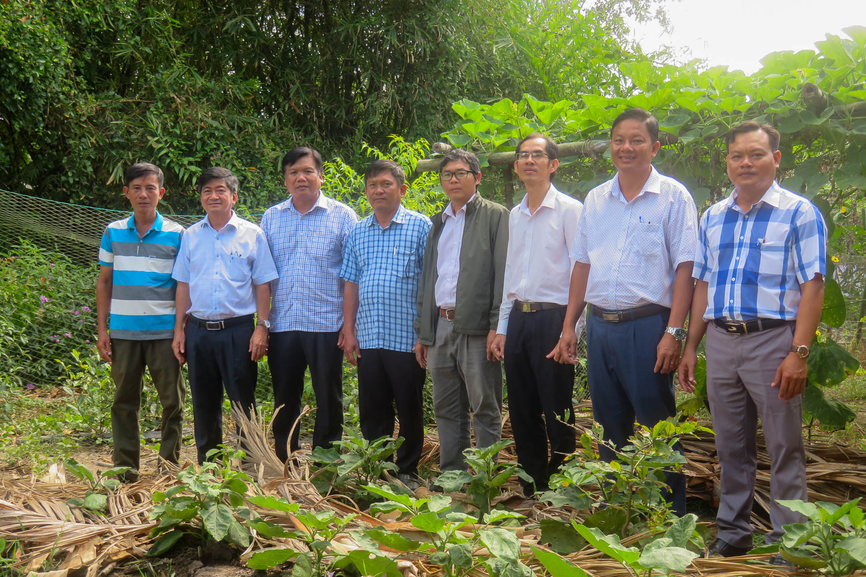 Bí thư Thị ủy Ngã Năm khảo sát thực trạng vườn cò Tân Long