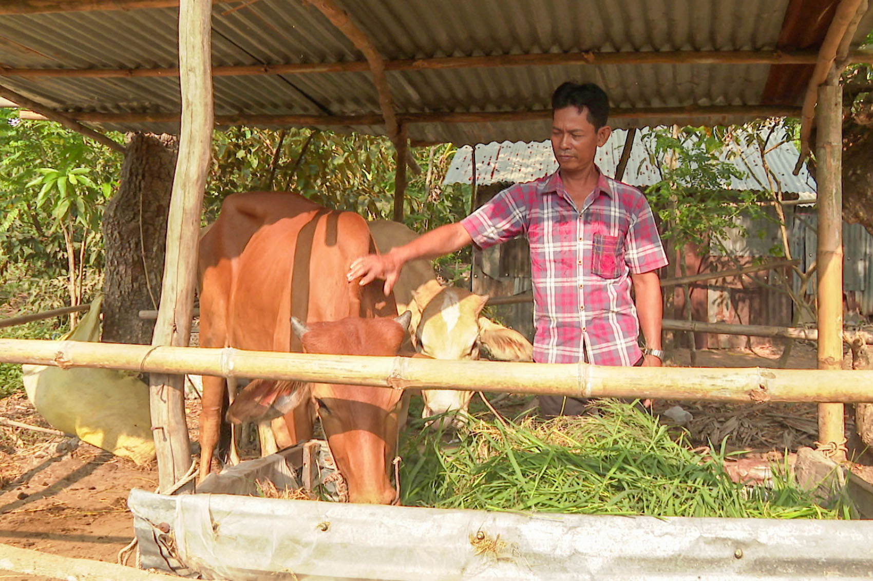 Các chương trình mục tiêu quốc gia tạo sức bật cho vùng đồng bào Khmer huyện Mỹ Xuyên