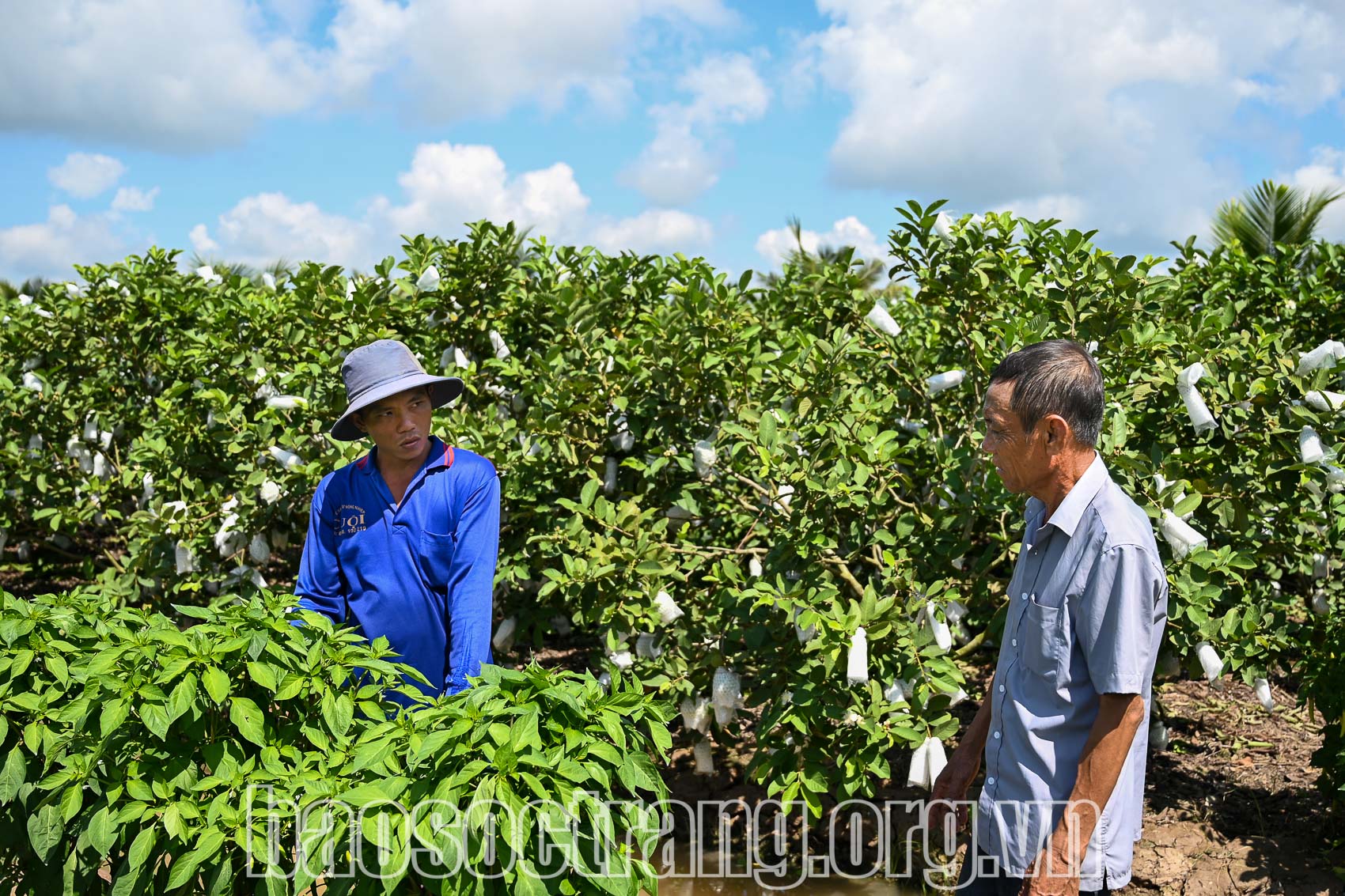 Chú trọng công tác xây dựng Đảng, đẩy mạnh phát triển kinh tế - xã hội ở địa phương