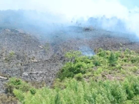 Huy động cả trăm người chữa cháy rừng ở Quảng Bình