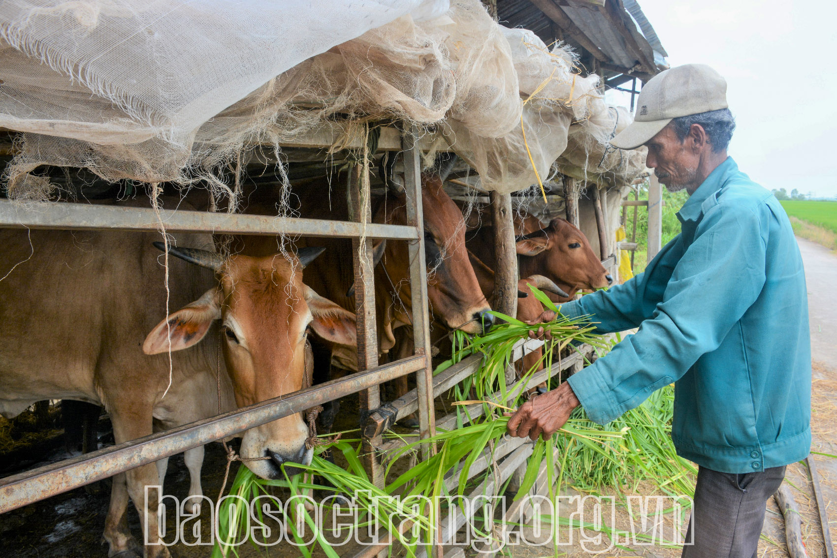 Tiếp sức người dân thoát nghèo