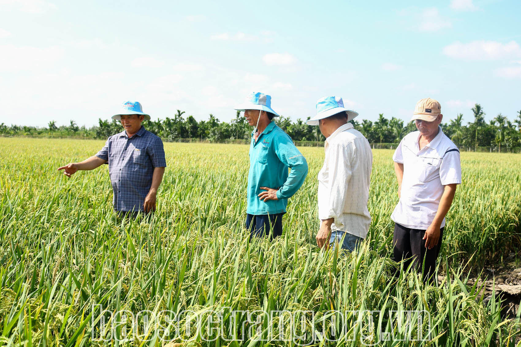 Vai trò của hợp tác xã trong liên kết chuỗi giá trị