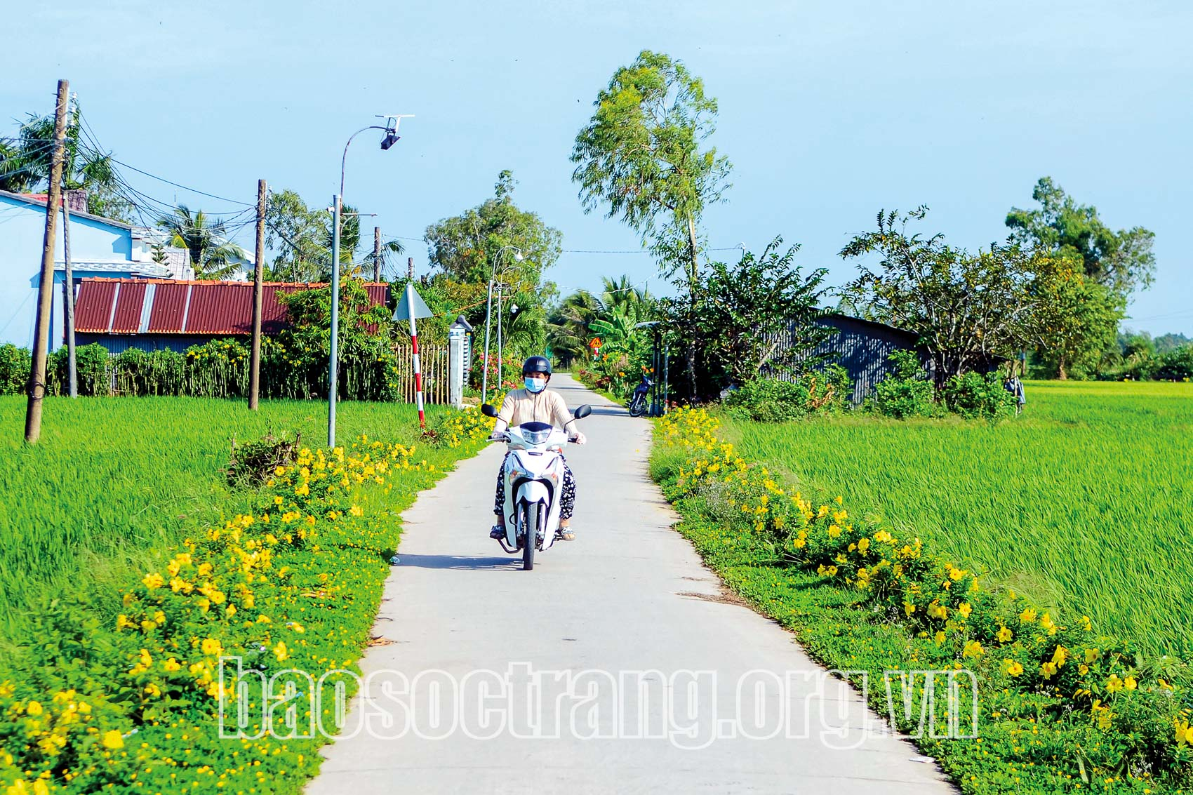 Sắc xuân vùng đồng bào dân tộc thiểu số