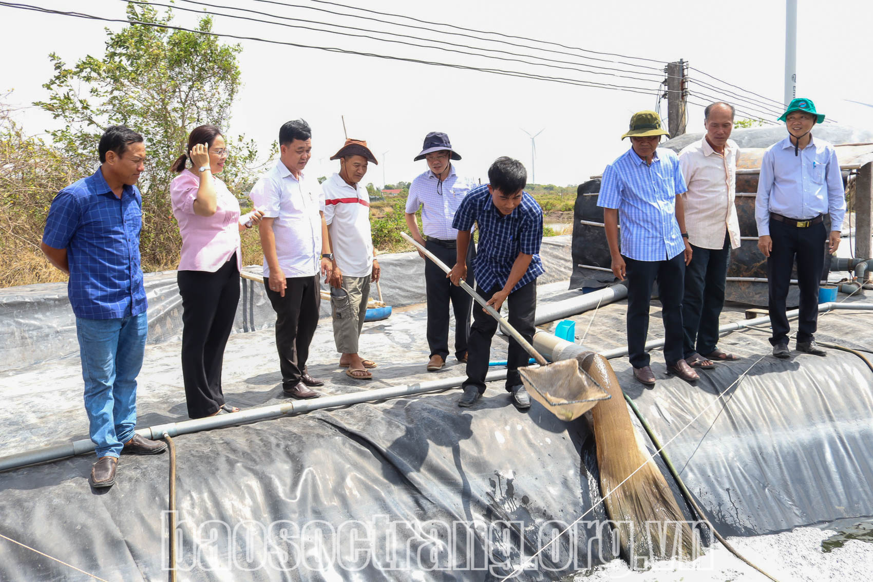 Cần thận trọng trong mùa vụ thả tôm nuôi nước lợ năm 2024