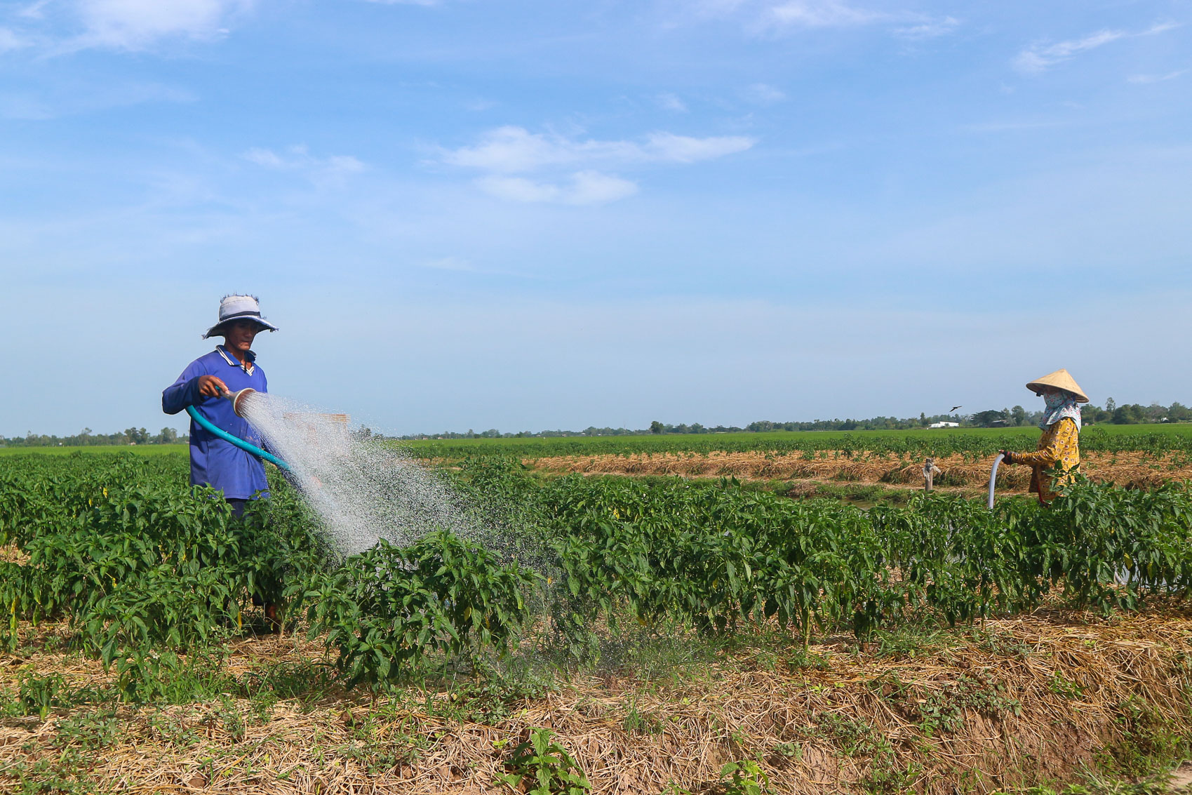 Sắc xuân nông thôn mới vùng đồng bào dân tộc thiểu số