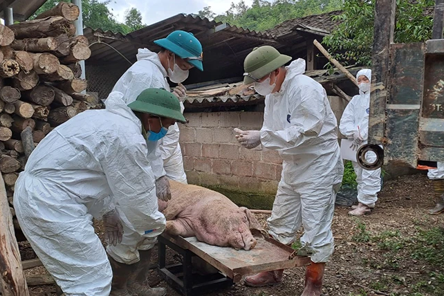 Bài học đắt giá từ sự chủ quan